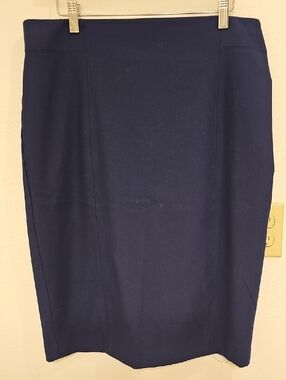 Ann Taylor Pencil Skirt